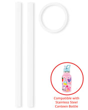 Load image into Gallery viewer, Skip Hop Canteen Bottles Extra Straws 2pk