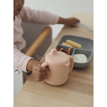Load image into Gallery viewer, Beaba Silicone Learning Set - Pink/Grey
