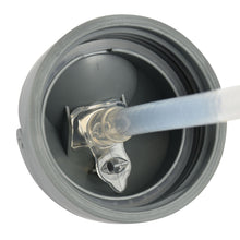 Load image into Gallery viewer, Beaba Straw Cup 300ml - Mineral Grey