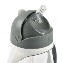 Load image into Gallery viewer, Beaba Straw Cup 300ml - Mineral Grey