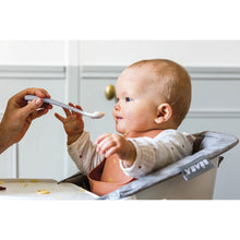 Load image into Gallery viewer, Beaba 1st Stage Silicone Spoons & Case 2 Pack - Misty Green/Pebble