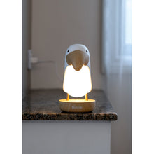Load image into Gallery viewer, Bubble Toucan Night Light