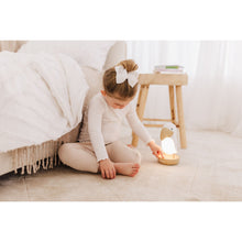 Load image into Gallery viewer, Bubble Toucan Night Light