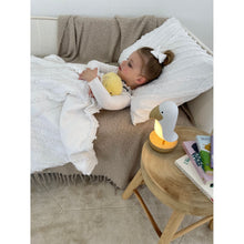 Load image into Gallery viewer, Bubble Toucan Night Light