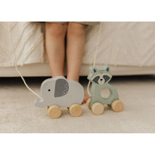 Load image into Gallery viewer, Bubble Wooden Raccoon Pull Along Toy