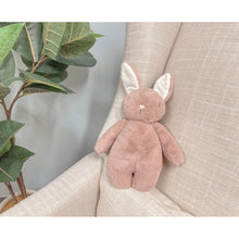 Load image into Gallery viewer, Bubble Lulabelle the Bunny