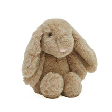 Load image into Gallery viewer, Bubble Plush Toy - Jamie the Bunny