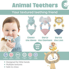 Load image into Gallery viewer, Cheeky Chompers Teether - Hippo
