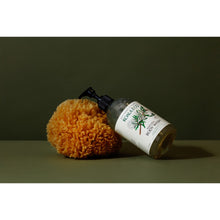 Load image into Gallery viewer, Koala Eco Natural Body Wash Rosalina & Peppermint Essential Oil - 500ml