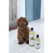 Load image into Gallery viewer, Koala Eco Natural Laundry Wash Mandarin & Peppermint Essential Oil - 1L