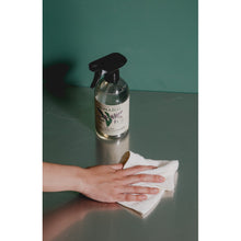 Load image into Gallery viewer, Koala Eco Natural Stainless Cleaner Peppermint Essential Oil - 500ml