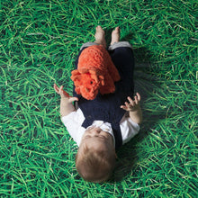 Load image into Gallery viewer, Manhattan Toy Little Jurassics Rory (Triceratops)