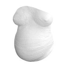 Load image into Gallery viewer, Pearhead Belly Casting Kit