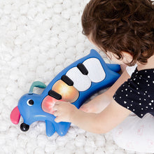 Load image into Gallery viewer, Skip Hop Vibrant Village Light Up Dog Piano