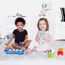 Load image into Gallery viewer, Skip Hop Vibrant Village Light Up Dog Piano