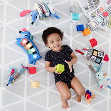 Load image into Gallery viewer, Skip Hop Vibrant Village Light Up Dog Piano