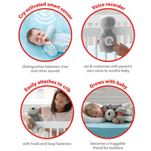 Load image into Gallery viewer, Skip Hop Cry Activated Soother - Sloth