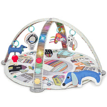 Load image into Gallery viewer, Skip Hop Vibrant Village Smart Lights Activity Gym