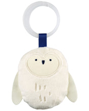 Load image into Gallery viewer, Skip Hop Celestial Dreams Activity Gym