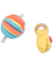 Load image into Gallery viewer, Skip Hop Discoverosity 3 in 1 Classic Stroller Toy