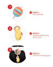 Load image into Gallery viewer, Skip Hop Discoverosity 3 in 1 Classic Stroller Toy