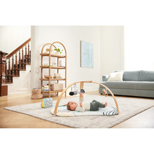 Load image into Gallery viewer, Skip Hop Discoverosity Activity Gym