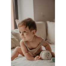 Load image into Gallery viewer, Suavinex Duo Soother Case - Bonhomia Owl Pink