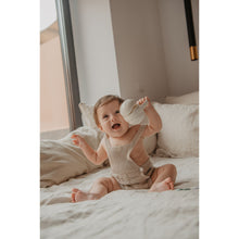 Load image into Gallery viewer, Suavinex Duo Soother Case - Bonhomia Owl Green