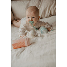 Load image into Gallery viewer, Suavinex Duo Soother Case - Bonhomia Owl Green