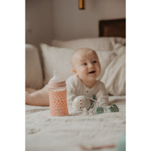 Load image into Gallery viewer, Suavinex 360ml Polyamide Premium Bottle with Medium Flow SX Pro Physiological Silicone Teat - Bonhomia Feather Beige