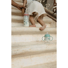 Load image into Gallery viewer, Suavinex A Walk In The Park Baby Bottle SX Pro 270ml Medium Flow 3+months - Pink