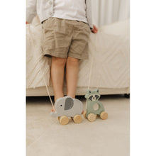 Load image into Gallery viewer, Bubble Wooden Raccoon Pull Along Toy
