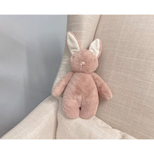 Load image into Gallery viewer, Bubble Lulabelle the Bunny
