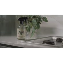 Load image into Gallery viewer, Koala Eco Natural Stainless Cleaner Peppermint Essential Oil - 500ml
