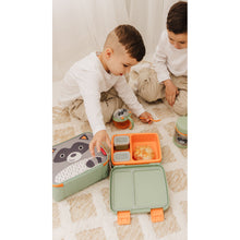 Load image into Gallery viewer, Skip Hop Zoo Bento Lunch Box - Raccoon
