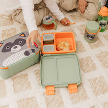 Load image into Gallery viewer, Skip Hop Zoo Bento Lunch Box - Raccoon
