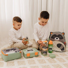 Load image into Gallery viewer, Skip Hop Zoo Bento Lunch Box - Raccoon
