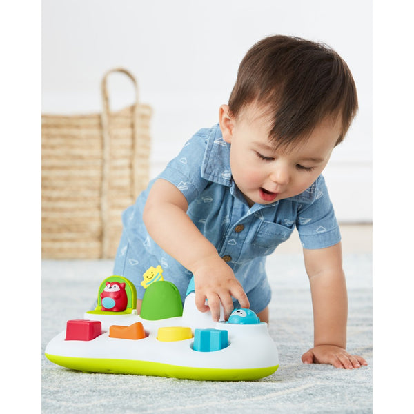 Skip Hop Explore & More Pop & Play